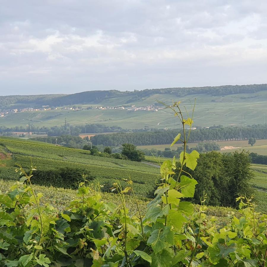 Chambres La Fabiere Vauciennes -Epernay Luaran gambar